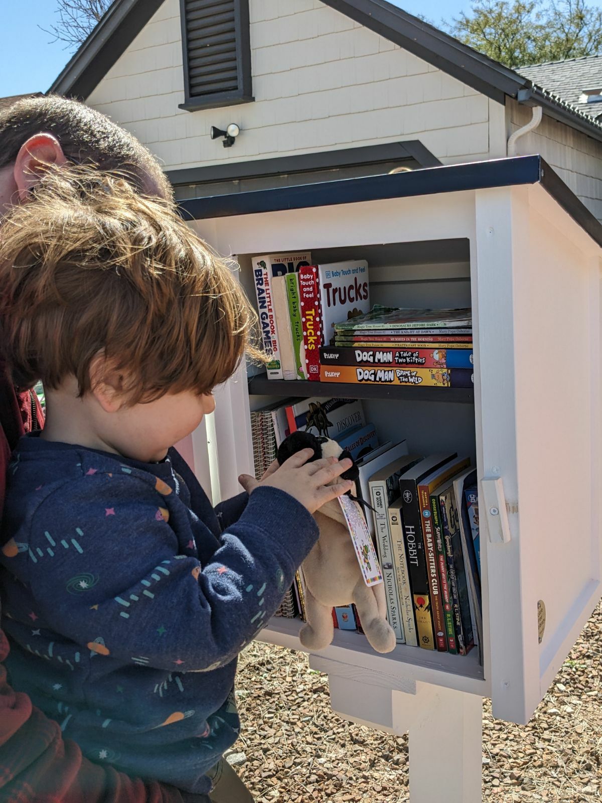 Little Free Library in Saguaro Canyon